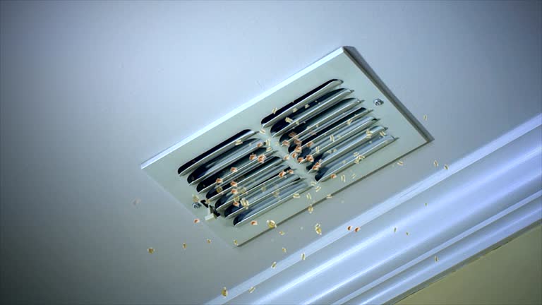Best Affordable Air Duct Cleaning  in Spanish Fort, AL